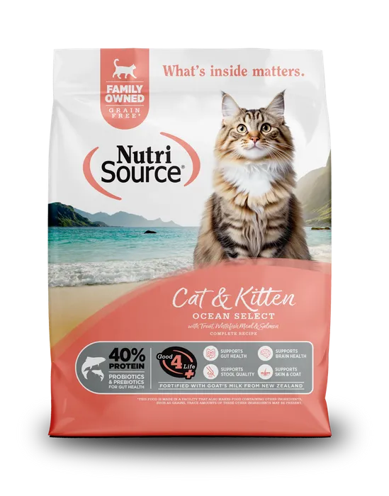 GFCat_KittenOceandryfood