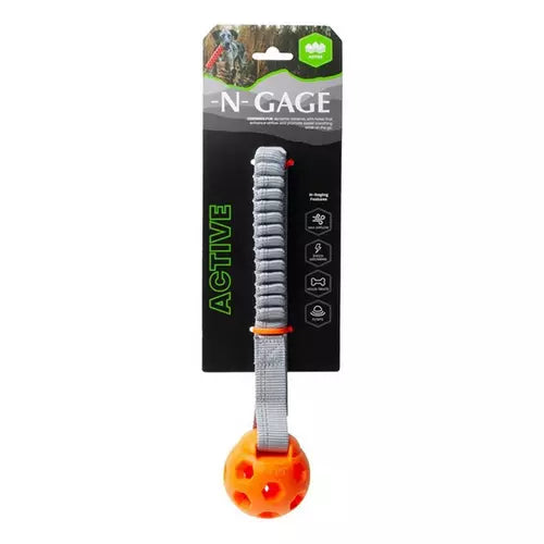 activebungeeballorange